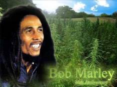 Bob Marley - No Woman No Cry Letra