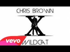 Chris Brown - Wildcat Letra