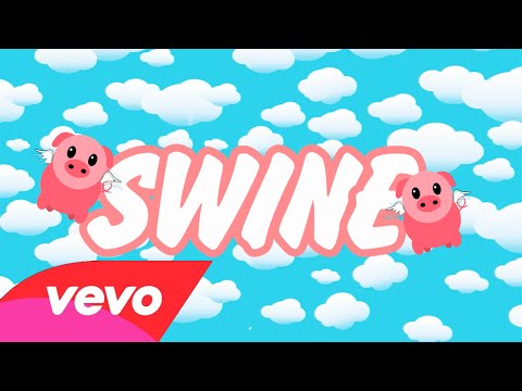 Swine video