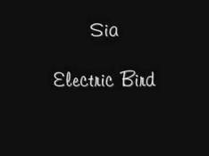 Sia - Electric Bird Letra