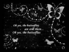 Sia - Butterflies Letra